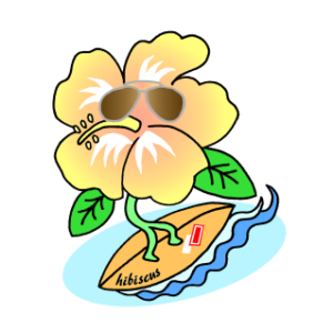 Hibiscus surf