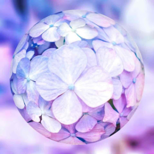 Marbles World : Hydrangea 5/5