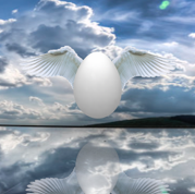 Angel’s Egg 〜Omen / Sky and Sea １of 5