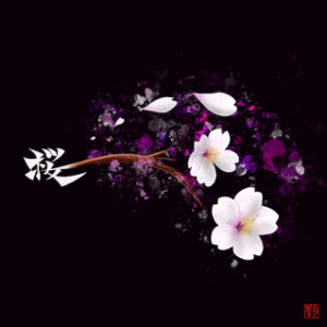 Sakura-Cherry blossom-