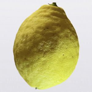 JUMBO LEMON