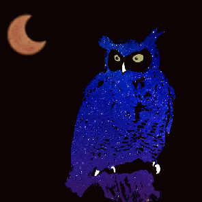 star owl&moon