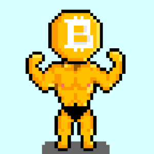 Muscle BTC