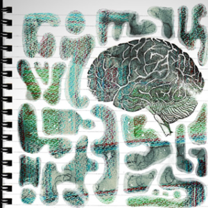 Brain 1. “Fading Memory”