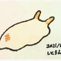 Crypto sea slug_09