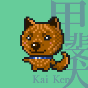 Kai Ken #003 aka tora
