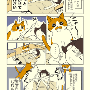 #004 二度寝しながらねことあそぶ方法