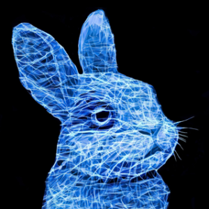 Blue Rabbit