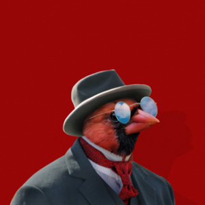 the-birdman#5 – the-birdman