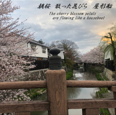 Haiku ~Hachimanbori~ – haiku by j