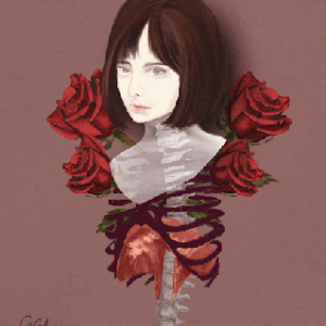 Diaphragm in a beautiful flower girl #1 rose