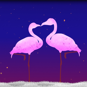 star flamingo – STAR ANIMAL