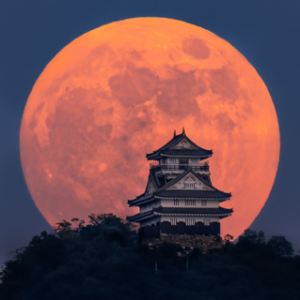 The Moon and Japanese Castles