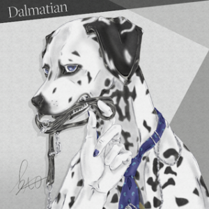 Dalmatian