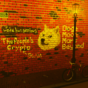 Doge In Amsterdam Streetlights