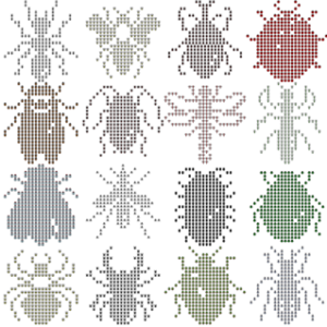 CryptoInsect-insects #000A