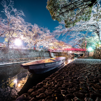 Waterway of Cherry Blossoms