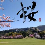 桜（Sakura：cherry blossoms） – Calligraphy & Japanese Landscape