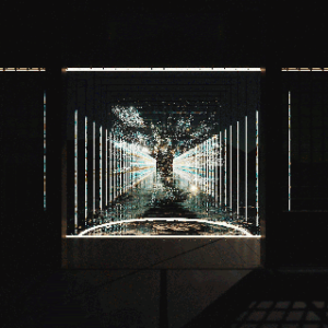 Thinking Field_GIF_00 – Thiking Field_GIF