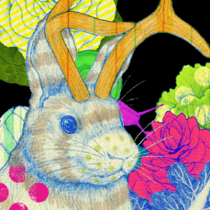 Jackalope Jack #051 – viviDanimals