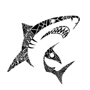 THE SHARK #1 – THE SHARK V2